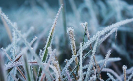 Гидрометеослужба предупреждает о заморозках до минус 4 градусов