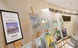 В Парламенте проходит художественная выставка Цвета дружбы