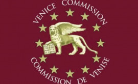 Батрынча участвует в работе заседания Венецианской комиссии