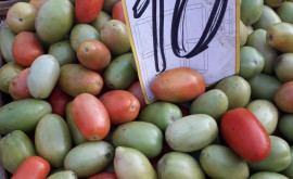 Cît costă fructele și legumele la Piața Centrală din Chișinău