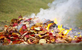 Persoanele care dau foc la frunze și deșeurile menajere riscă amenzi 
