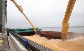 12 nave au părăsit porturile ucrainene în ciuda refuzului Rusiei de la acordul cerealier