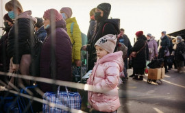 Сколько украинских беженцев в настоящее время приютила Республика Молдова