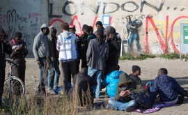 Во Франции половину уличных преступлений совершают мигранты