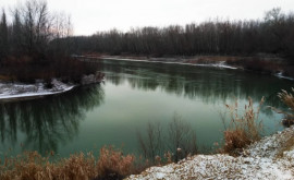 Молдова и Румыния возобновили сотрудничество по охране вод Прута и Дуная