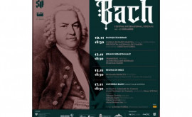 Международный музыкальный фестиваль Баха вернется в Органный зал