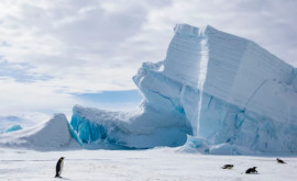 Подо льдами Антарктиды обнаружили 460километровую реку