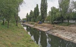 Primăria Chișinău va aproba un proiect de soluții naturale pentru reabilitarea albiei rîului Bîc
