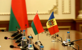 Как развивается торговля Молдовы и Беларуси 