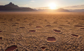 Раскрыта тайна сказочных кругов в пустыне Намибии