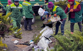  В центре Кишинева неизвестные сбросили большую кучу мусора 