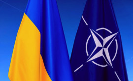 Генсек НАТО Альянс оставляет двери открытыми для Украины