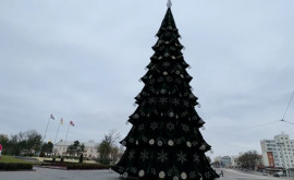 В Тирасполе установили новогоднюю елку Когда установят и в Кишиневе