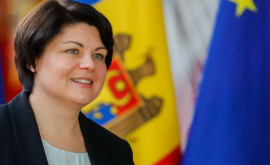 Гаврилица в Румынии Молдова разработает новые стратегии государственного управления