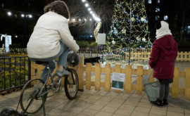 В Будапеште экономят Гирлянды рождественской ели подключили к общедоступному велогенератору