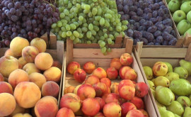 Еще 20 предприятий Молдовы смогут возобновить поставки фруктов в Россию