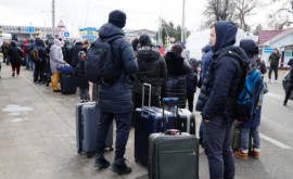 Сколько граждан Украины трудоустроено в Молдове