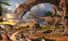 Исследование показало что динозавры были на подъеме до падения астероида