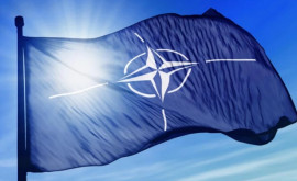 В Кишиневе прошла конференция Развитие партнерства НАТО в меняющейся среде безопасности