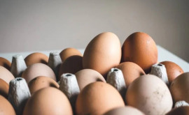 ANSA a anunțat retragerea unui lot de ouă de găină din comerț