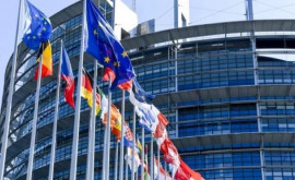 Presupusul caz de corupţie din Parlamentul European afectează grav reputaţia instituţiei