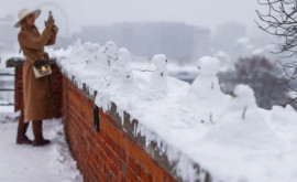 Снегопады в Европе Тысячи эстонцев остались без света после снежных бурь