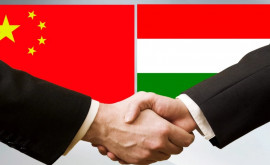 Китай и Венгрия будут продвигать проекты Один пояс один путь