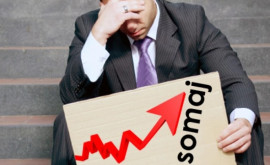 Агентство по трудоустройству представляет действия по снижению уровня безработицы