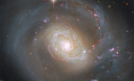Фото с новогодним настроением от Джеймса Уэбба Телескоп сделал красивый снимок галактики NGC 7469