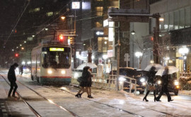 Сильный снегопад в Японии привел к гибели 17 человек