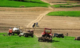 Accesul la terenurile agricole din raionul Dubăsari situate după traseul TiraspolCamenca a fost prelungi