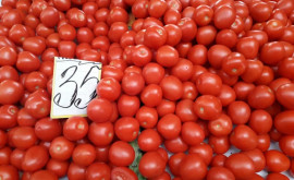 Почем продукты на Центральном рынке Кишинева накануне праздника