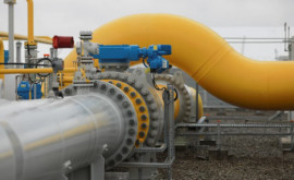 Болгария получит доступ к турецким газопроводам