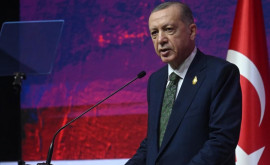 Эрдоган призвал к скорейшему мирному урегулированию конфликта в Украине