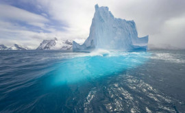 Jumătate dintre gheţarii lumii riscă să dispară pînă în anul 2100