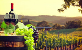 Exporturile de vin moldovenesc în creștere