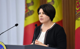 Гаврилица прокомментировала решение Апелляционной палаты Парижа по делу Энергоальянса