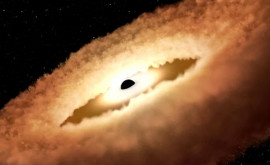 Хаббл увидел последние мгновения жизни съеденной звезды
