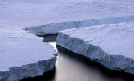 Un aisberg uriaş sa desprins de banchiză în Antarctica