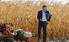 Япония поможет молдавскому сельскому хозяйству преодолеть кризисы