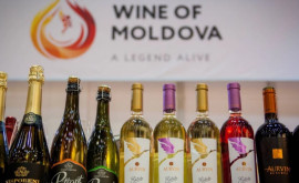 Moldova cea mai premiată țară din Europa de Est pentru calitatea vinului