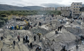 Institutul geologic danez Cutremurul din Turcia și Siria a fost resimțit pînă în Groenlanda