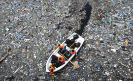 Пластиковые отходы в мире продолжают расти