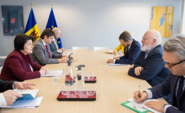 Гаврилица обсудила с представителями Еврокомиссии ситуацию в сфере энергетики
