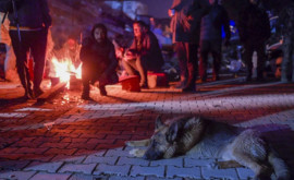 15000 de morți în Turcia și Siria Sute de mii de sinistrați au înghețat noaptea pe străzi