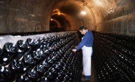 Francezii au găsit soluția la surplusul de vin