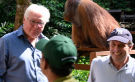 Выступление президента Германии прервал орангутанг 