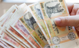 В каких госкомпаниях Молдовы самые высокие зарплаты