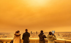 Волна сахарской пыли достигла Европы Какие возможны последствия