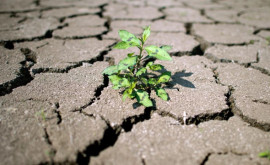 Franţa este în regim de alertă din cauza secetei